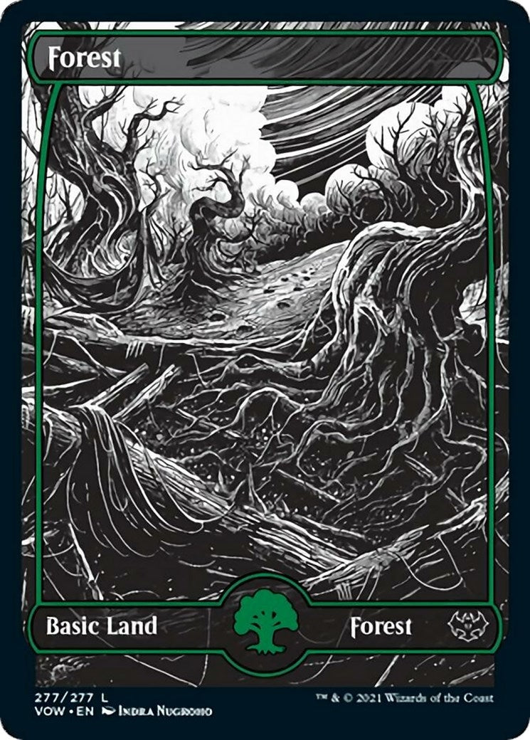 Image for Forest (277) (277) (VOW) - Magic: The Gathering