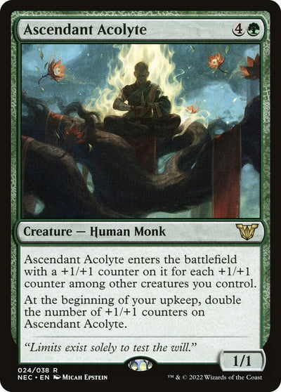Ascendant Acolyte (24) (NEC)