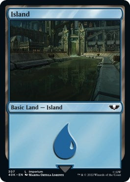Image for Island (307) (Surge Foil) (307) (40K) - Magic: The Gathering