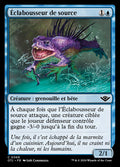 Spring Splasher