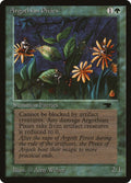 Image for Argothian Pixies (ATQ) - Magic: The Gathering