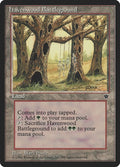 Image for Havenwood Battleground (FEM) - Magic: The Gathering