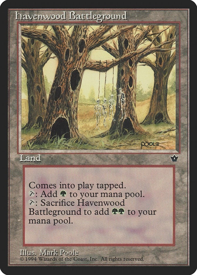 Image for Havenwood Battleground (FEM) - Magic: The Gathering