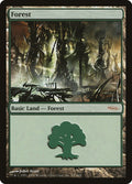 Image for Forest (2004) (5) (ARENA) - Magic: The Gathering