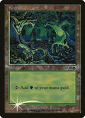 Image for Forest (1999) (347) (ARENA) - Magic: The Gathering