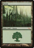 Image for Forest (2006) (5) (ARENA) - Magic: The Gathering