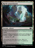 Festering Gulch