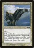 Image for Welkin Hawk (25) (EXO) - Magic: The Gathering