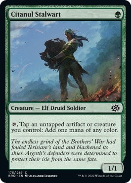 Image for Citanul Stalwart (175) (BRO) - Magic: The Gathering