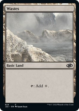Image for Wastes (834) (J22) - Magic: The Gathering