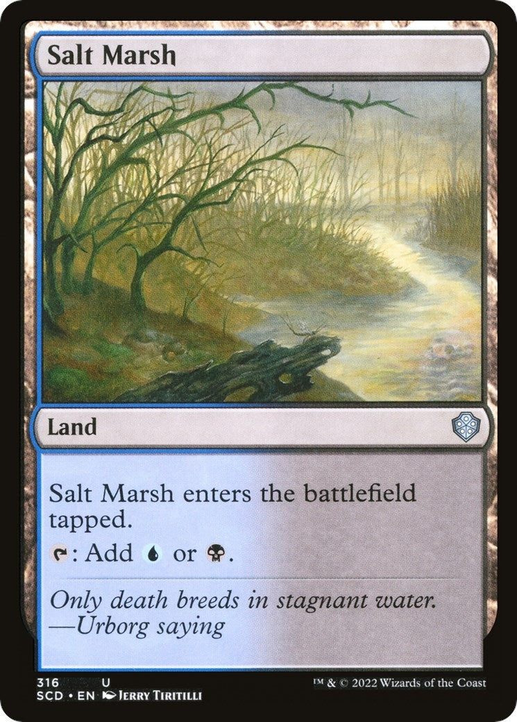 Image for Salt Marsh (316) (SCD) - Magic: The Gathering
