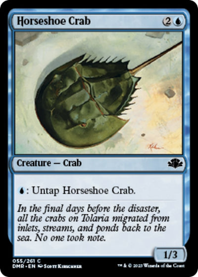 Horseshoe Crab (55) (DMR)