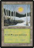 Image for Forest (328) (328) (ICE) - Magic: The Gathering