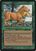 Image for Tarpan (ICE) - Magic: The Gathering