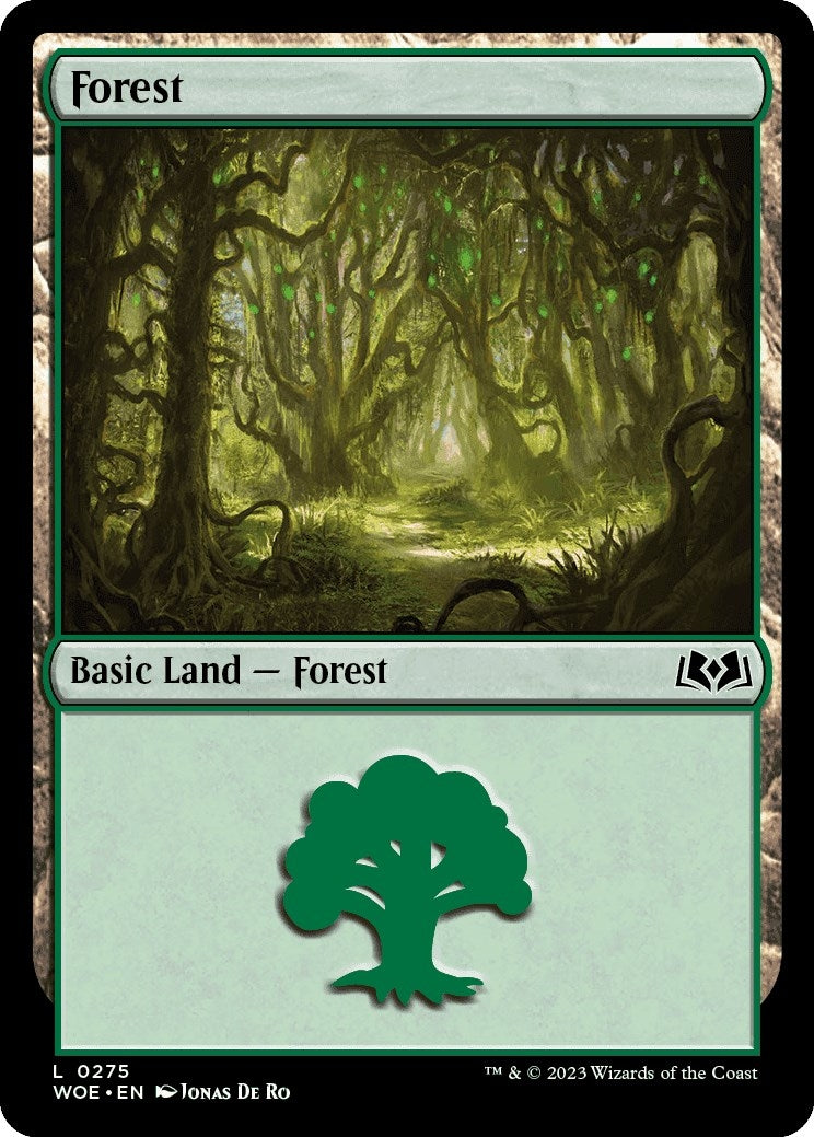 Image for Forest (0275) (275) (WOE) - Magic: The Gathering