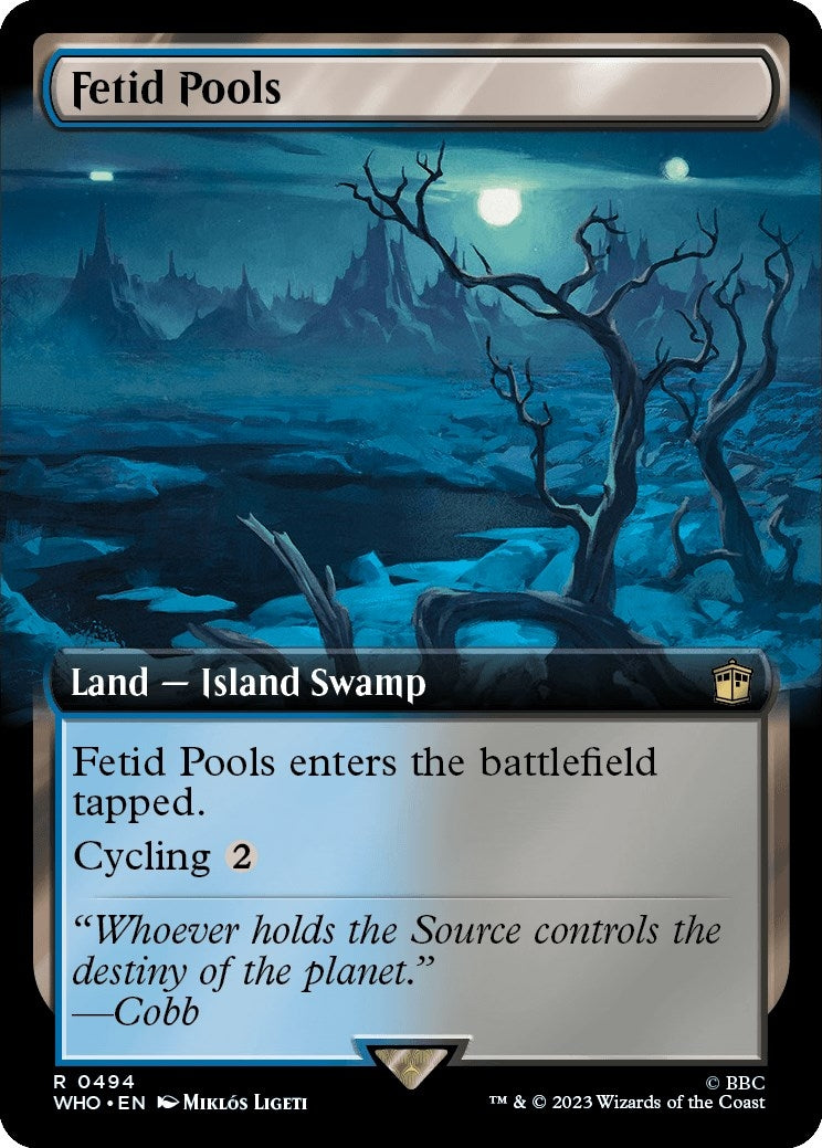 Image for Fetid Pools (Extended Art) (494) (WHO) - Magic: The Gathering