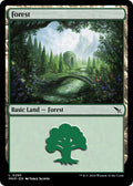 Image for Forest (0285) (285) (MKM) - Magic: The Gathering