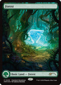 Image for Forest (Samuele Bandini) (5) (SSP) - Magic: The Gathering