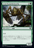Gnottvold Recluse