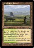 Image for Windswept Heath (Retro Frame) (440) (MH3) - Magic: The Gathering
