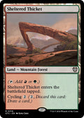 Image for Sheltered Thicket (319) (OTC) - Magic: The Gathering