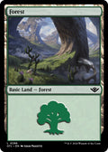 Image for Forest (0286) (286) (OTJ) - Magic: The Gathering