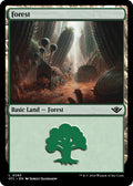 Image for Forest (0285) (285) (OTJ) - Magic: The Gathering