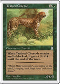 Image for Trained Cheetah (155) (PTK) - Magic: The Gathering