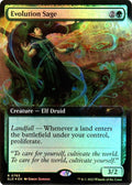 Image for Evolution Sage (Extended Art) (765) (SLD) - Magic: The Gathering