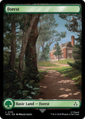 Image for Forest (0110) (110) (ACR) - Magic: The Gathering