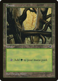 Image for Forest (Ledge) (350) (TMP) - Magic: The Gathering