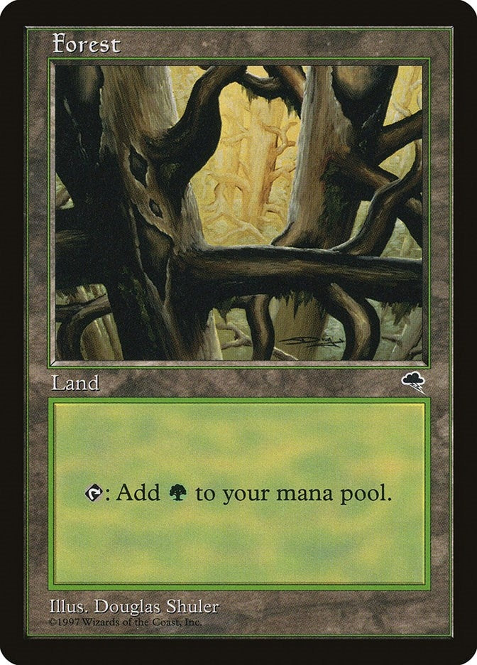 Image for Forest (Ledge) (350) (TMP) - Magic: The Gathering