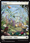 Image for Plains (0263) (263) (BLB) - Magic: The Gathering