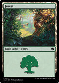 Image for Forest (0377) (377) (BLB) - Magic: The Gathering