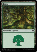Image for Forest (0378) (378) (BLB) - Magic: The Gathering
