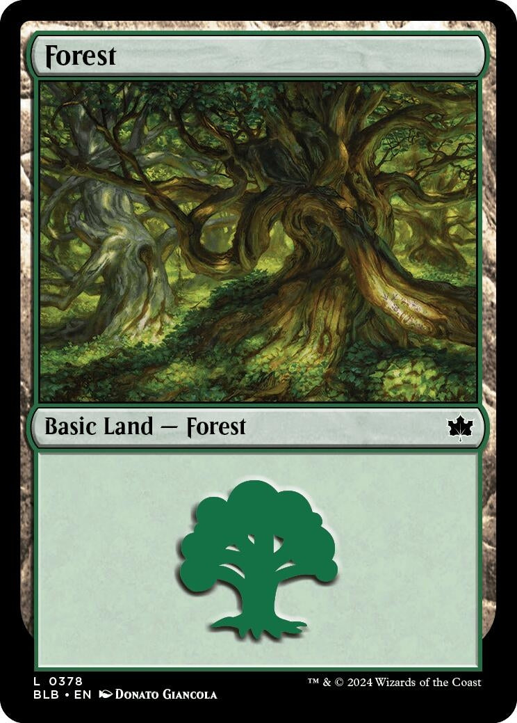 Image for Forest (0378) (378) (BLB) - Magic: The Gathering