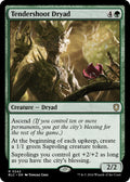 Image for Tendershoot Dryad (242) (BLC) - Magic: The Gathering