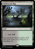 Image for Viridescent Bog (352) (BLC) - Magic: The Gathering