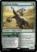 Image for Brightcap Badger (28) (BLC) - Magic: The Gathering
