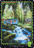 Image for Forest (1656) (1656) (SLD) - Magic: The Gathering