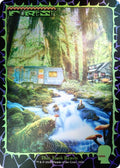 Image for Forest (1656) (Rainbow Foil) (1656) (SLD) - Magic: The Gathering