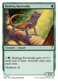 Image for Basking Rootwalla (White Border) (65) (MB2) - Magic: The Gathering