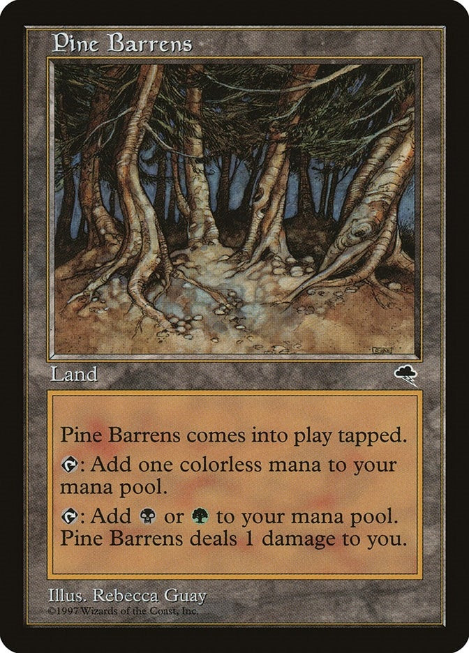 Image for Pine Barrens (321) (TMP) - Magic: The Gathering