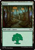 Image for Forest (0286) (286) (DSK) - Magic: The Gathering