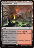 Image for Blackcleave Cliffs (263) (DSC) - Magic: The Gathering