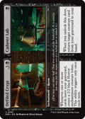 Image for Defiled Crypt // Cadaver Lab (91) (DSK) - Magic: The Gathering