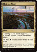 Image for Thriving Moor (317) (DSC) - Magic: The Gathering