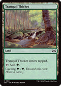 Image for Tranquil Thicket (318) (DSC) - Magic: The Gathering