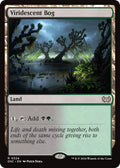 Image for Viridescent Bog (324) (DSC) - Magic: The Gathering
