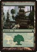 Image for Forest (The Selesnya Conclave) (304) (PREM) - Magic: The Gathering